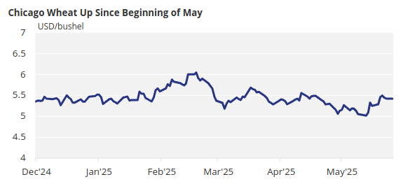 Chart showing historical Chicago wheat price