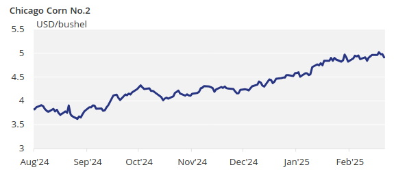 Chicago Corn Price Chart