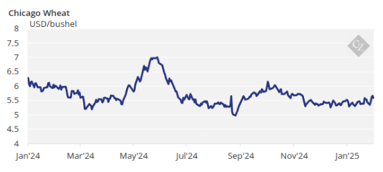 Chicago Wheat Chart