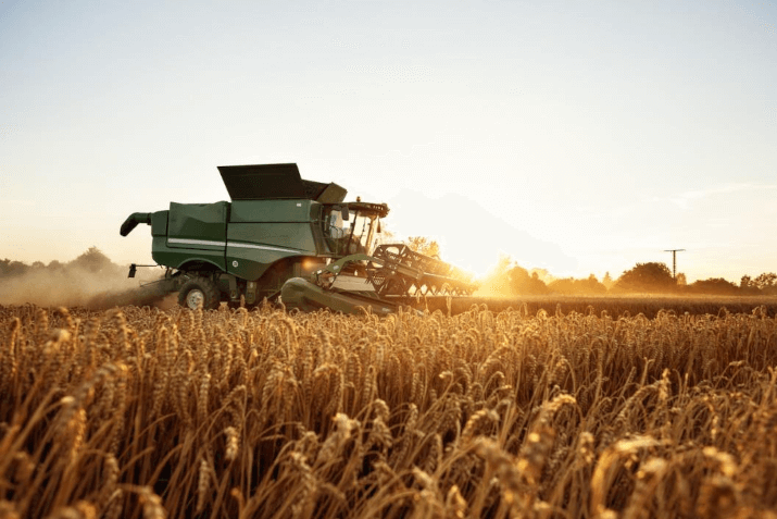 Barley Cultivation