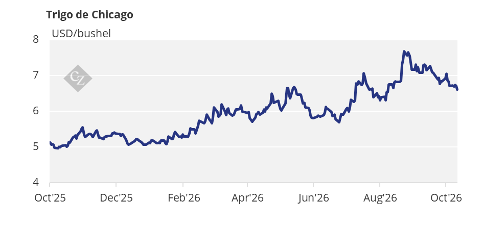 Chicago Wheat Price