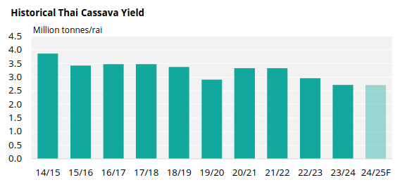 Chart showing historical Thai cassava yield.