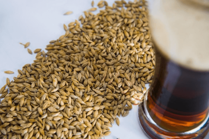 Barley and Beer