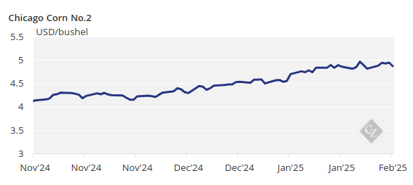 Chart Showing Price of Corn