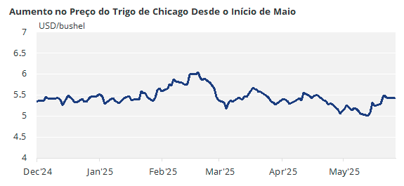 Gráfico mostrando o histórico do preço do trigo de Chicago