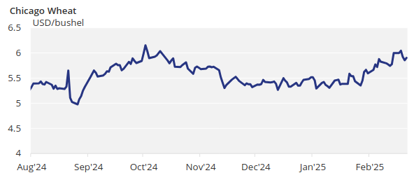 Chicago Wheat Price Chart